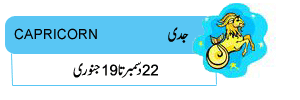 daily horoscope in urdu of  capricorn