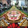 Incredible Flower Carpets at the Genzano Flower Festival