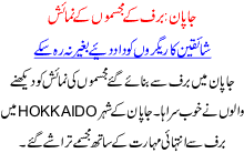 Japan baraf k mujasmon ki numaish