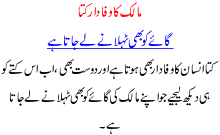 Malik ka wafadar kutta