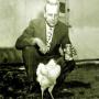 The rooster who lived until eighteen months after the Head cut