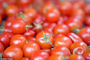 Experts Claim Create Electric Power By Tomatoes