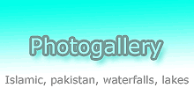 Biggest photogallery and wallpapers collection