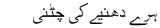 Haray Dhania Ki Chatni