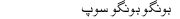 Bongo Bongo Soup Recipee In Urdu