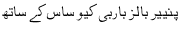 paneer bar b q kay s