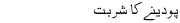 podeenay ka sharbat