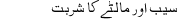 saib aur maltay ka s