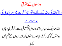 Islamic Article Dosto k Haqooq b