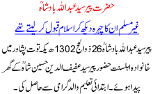 Hazrat Peer Syed Abdullah Badshah