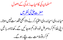 musalmaan ki kamyab zindgi kay asool 