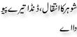 Urdu Joke Online : Schohar Ka Intiqal Or Danda Tere Piyo Da Ae
