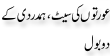 Urdu Joke Online : Woman Ki Seat Or Hamdardi K 2 Bol