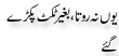 Urdu Joke Online : Yoo Na Rota Or Bagher Ticket Pakre Ge