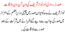 Sadar Zardari Or Nawaz Sharief Ki Mulaqat