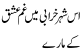 Iss Shahir E Kharabi Main Gham E Ishq Kay Maray By Habib Jalib