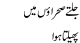 Jaltay Sehraon Main Phelta Howa
