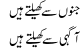 Junoon Se Khelte Hain