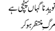 Naveed E Nagahaan