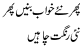 phir naye khawab bunain