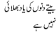 Beetay Dinoon Ki Yaad Bhulayi Nahin Hai