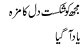 Mujh Ko Shakist E Dil Ka Maza Aa Gaya