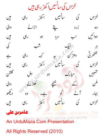 Urdu Poem of Aamir Bin Ali