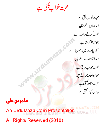 Urdu Poem of Aamir Bin Ali
