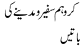 Karo hum safeer o madeenay ki batain