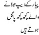 Pyar Ke Deep Jalanay Wallay Kuch Kuch Pagal Hotay Hain