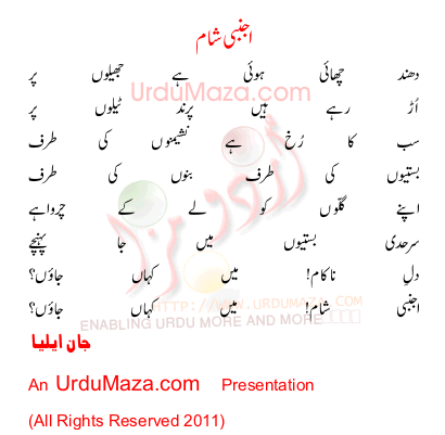 Urdu Poem of Ajnabi Shaam Main Kahan Jaon title=
