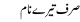 Sirf Teray Naam