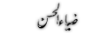 Urdu Poety of Zia ul Hassan