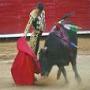 An+Introduction+to+Bull+Fighting+very+famous+in+SPAIN+Mexico+France+and+Portugal