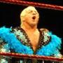 Profile of Wrestling champion Ric Flair who has dominated WWE Wrestling for three decades