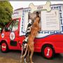 London Me Kuto K lye pehli ice cream van mutarif kara di gai