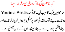 Kya Taoon Ki Halakat Khezi Barkraar Hai