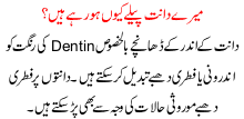 Meray Daant Peelay Kyun Ho Rahay Hain