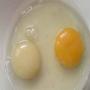 Egg wazan ghtanay ma ahem kirdar ada krta ha