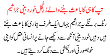 Tapkahi Ka Bais Bannay Walay Jaraseem
