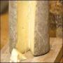 Piece of cheese each day helps protect the immune system