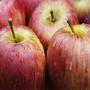 Apple and its juice is very useful in aesthma