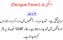 Deangue Fever