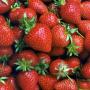 vitamins sa bharpoor strawbery kai bimarion k khilaaf madafat peda krti ha