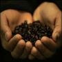 cofee jild k sartaan ko roknay ma madadgar