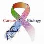 40% afraad cancer sa bach sktay thay