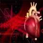 Jild k Khulyo Ko Sehat Mand Heart Tissues Me Tabdeel Kya Ja Sakta Hai