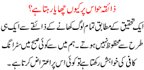 Zaiqa Hawas Per Kyo Chaya Rehta Hai
