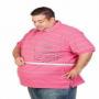 A chinese research shows that germs can cause obesity or motapa 
