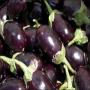 New research is that Brinjal is good for health